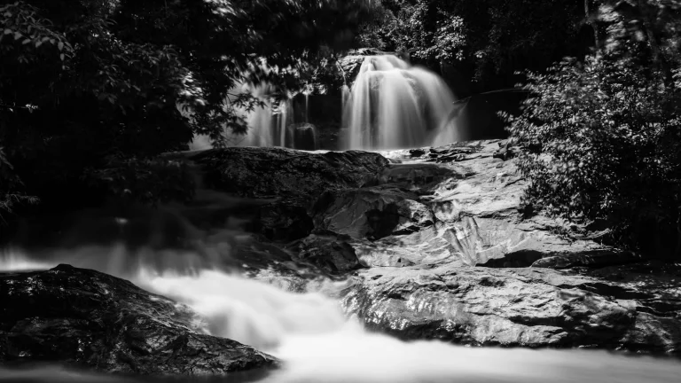 Préménopause et cycle menstruel : ce qui change vraiment